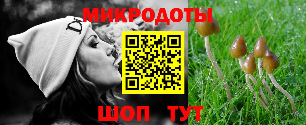 Галлюциногенные грибы прущие грибы Кириши
