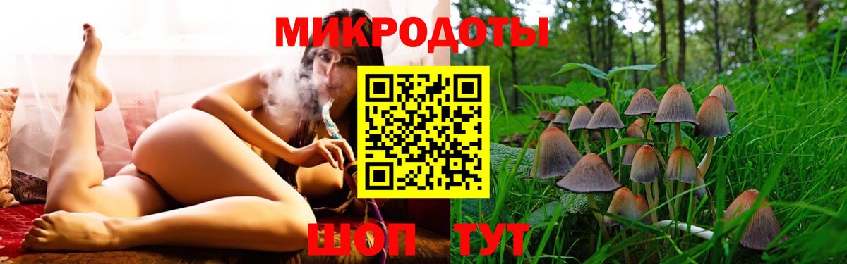 Кириши  Псилоцибиновые грибы мицелий  Вход с VPN 